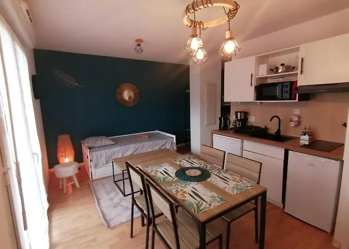 De La Marmotte Cendrée, Dans Résidence De Tourisme 3 étoiles *